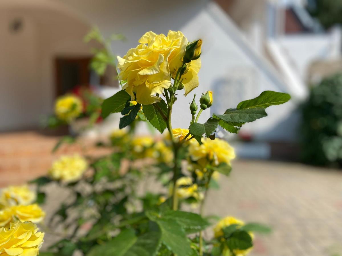 Karle Hotel Vitrupe Εξωτερικό φωτογραφία